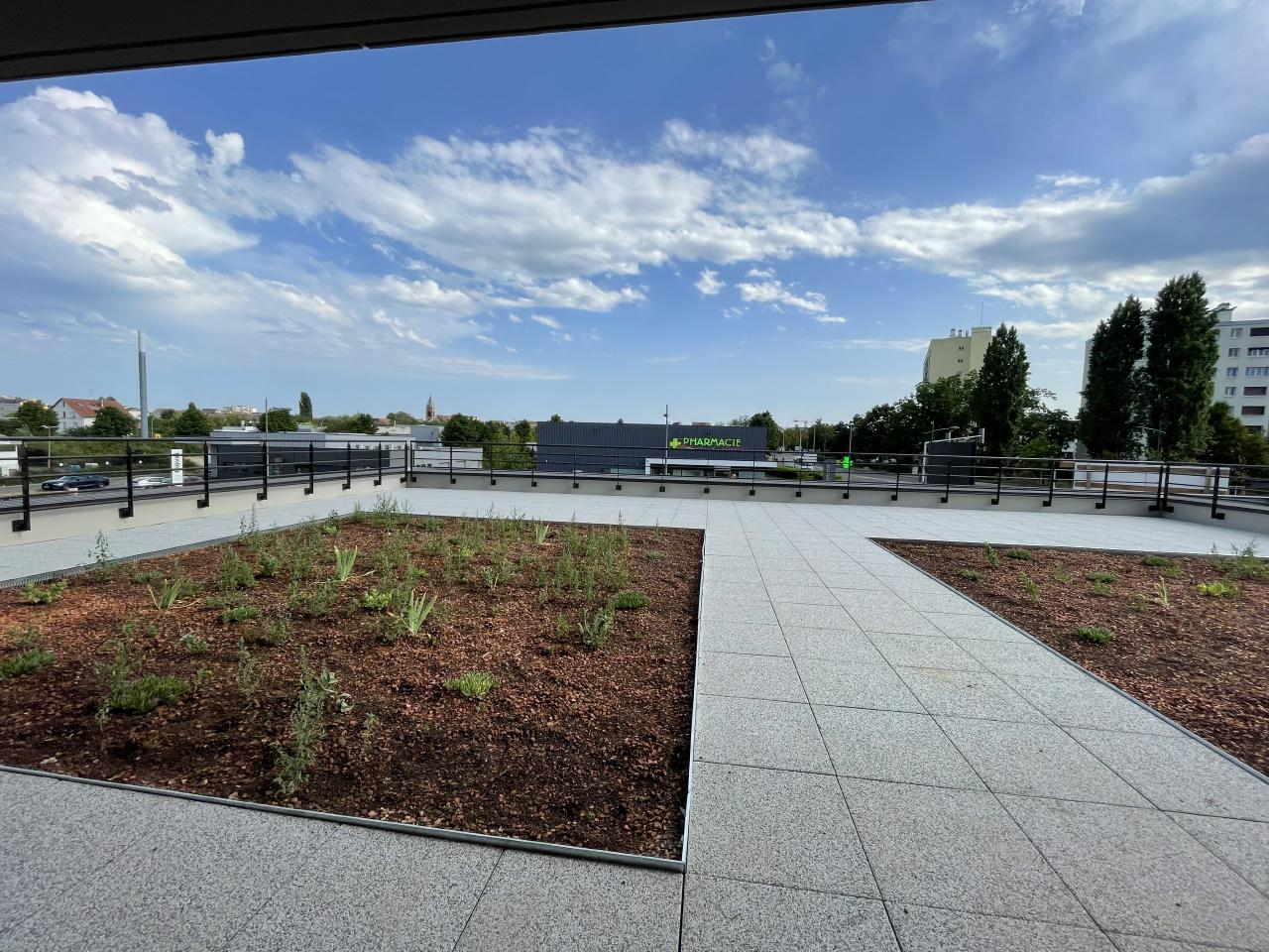 Bureau Strasbourg 4441m² Location bureau Strasbourg Bas-Rhin OLBUR2118419 8